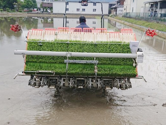 田植えの風景